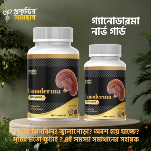 ফুল কোর্স